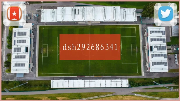 dsh292686341