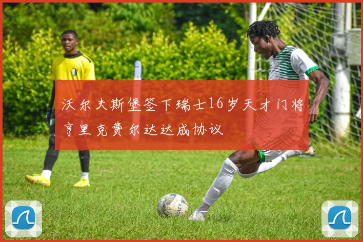沃尔夫斯堡签下瑞士16岁天才门将亨里克费尔达达成协议