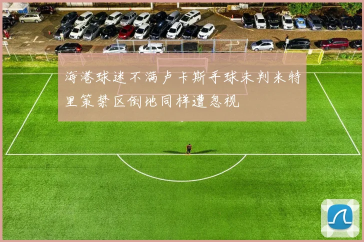 海港球迷不满卢卡斯手球未判米特里策禁区倒地同样遭忽视